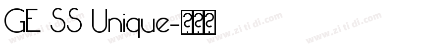 GE SS Unique字体转换